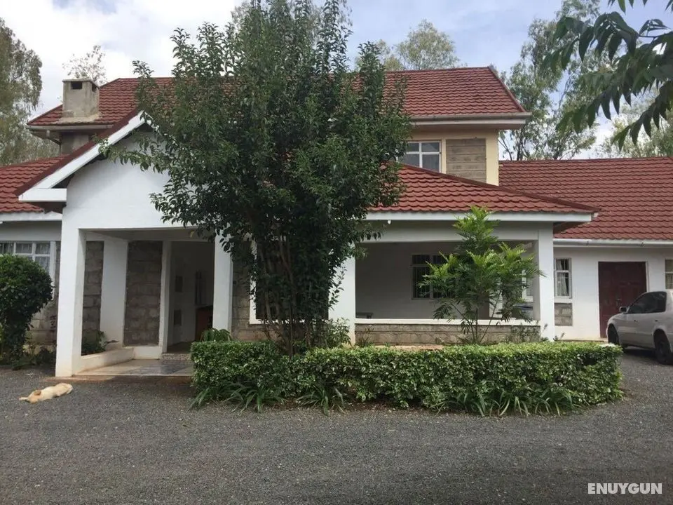 Back to Africa House - Dış Mekan