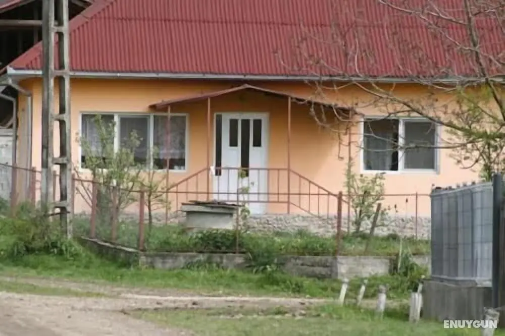 Badesti Farm House - Dış Mekan