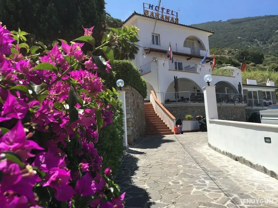 Hotel Bahamas - Öne Çıkan Resim