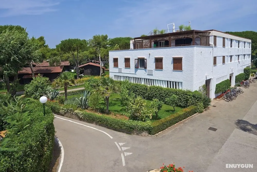 Baia Domizia Camping Village - Dış Mekan