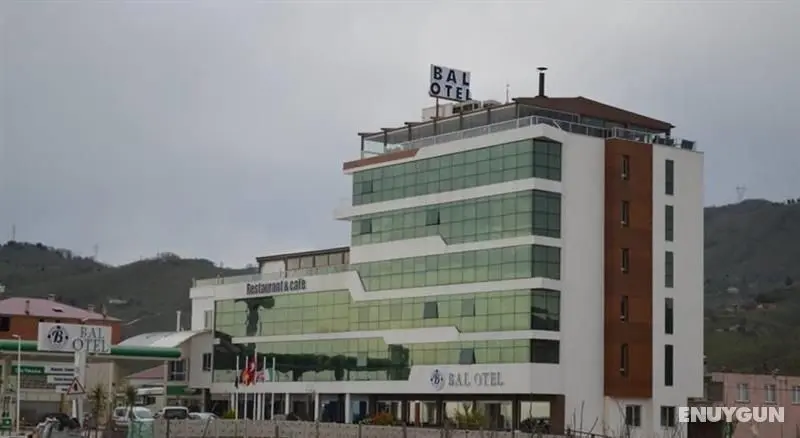 Bal Otel - Genel