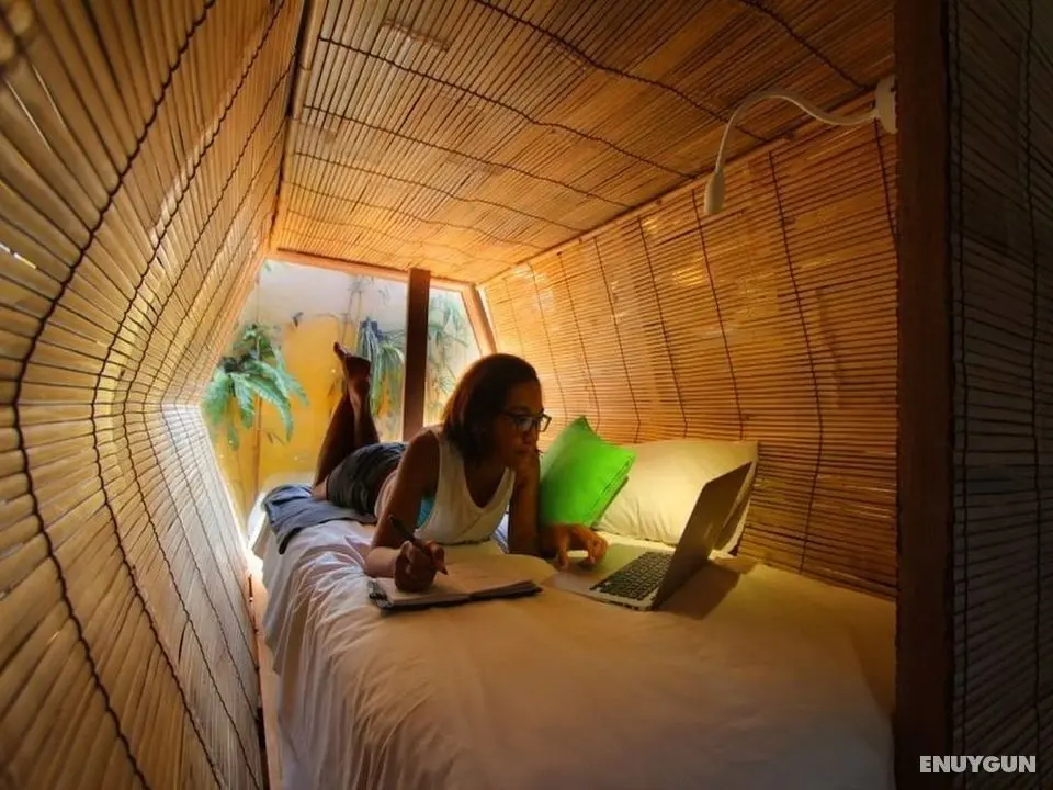 Bali Bee House - Öne Çıkan Resim