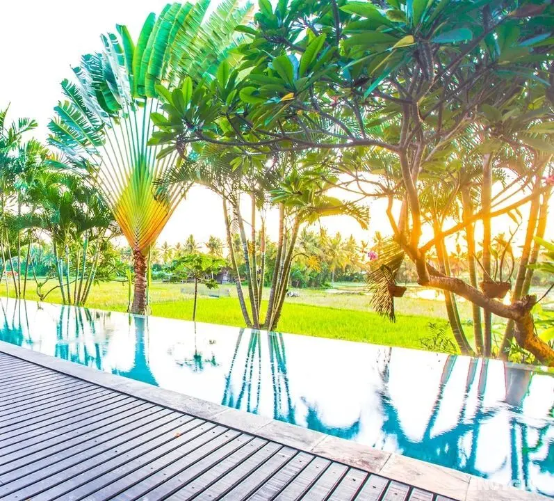Bali Harmony Villas - Oda Manzaraları