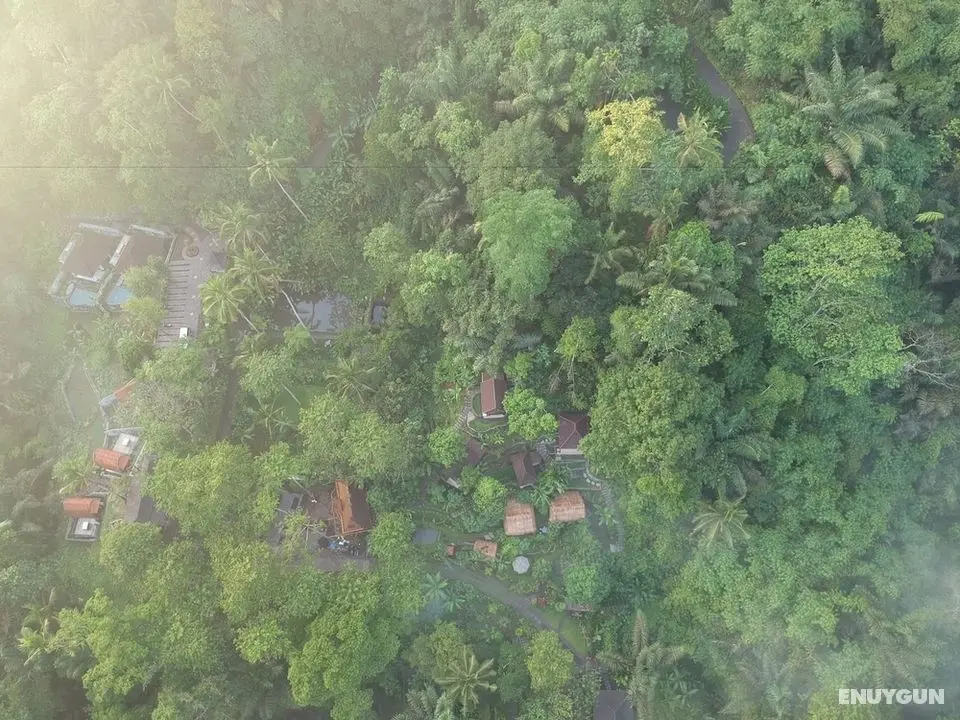 Bali Jungle Huts - Öne Çıkan Resim