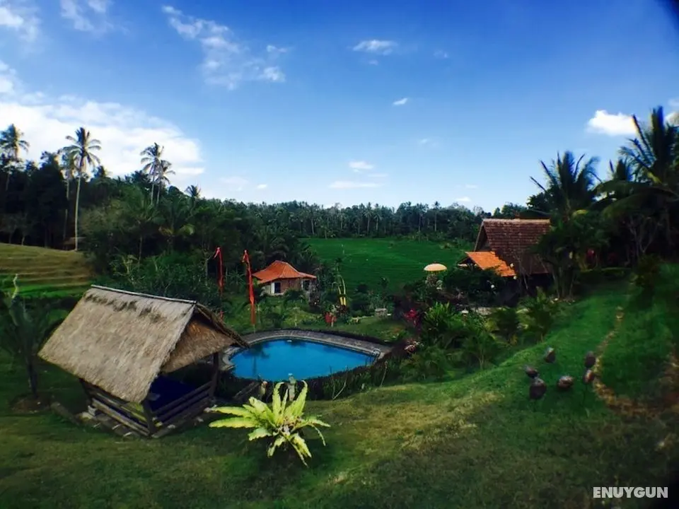 Bali Lush - Öne Çıkan Resim