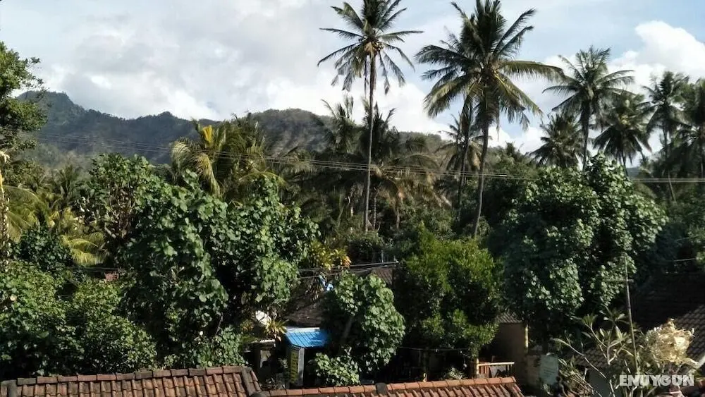Bali Sari Homestay - Dış Mekan