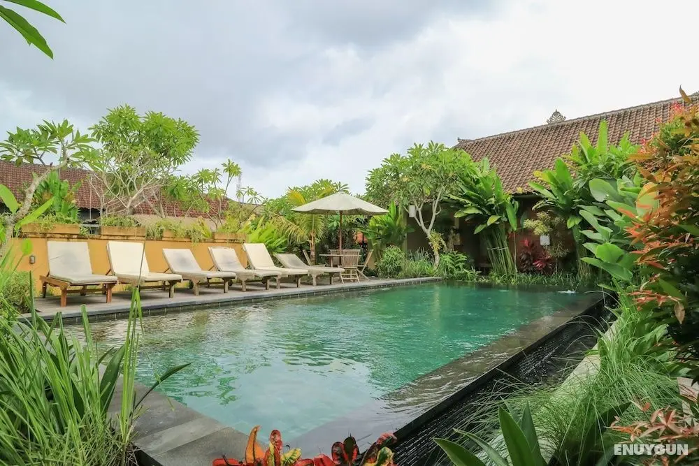 Bali Sunshine Homestay And Art Gallery - Öne Çıkan Resim