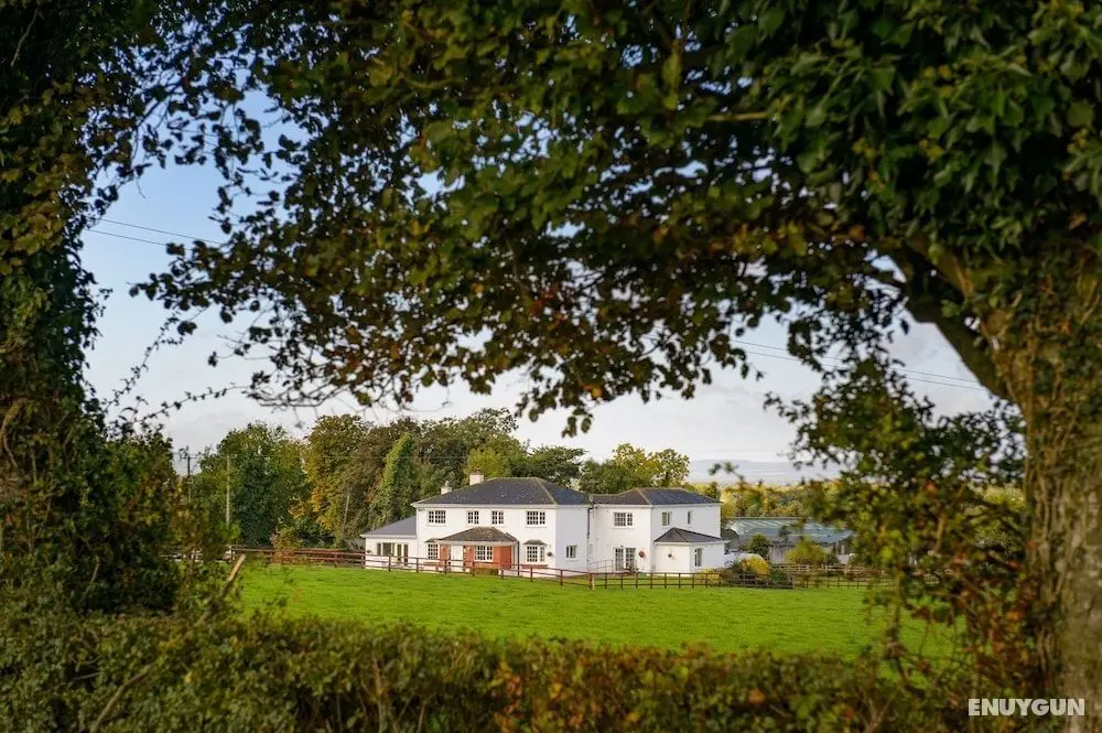 Ballindrum Farm B&B - Öne Çıkan Resim
