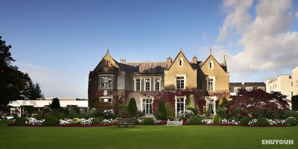 Ballymascanlon House Hotel - Öne Çıkan Resim