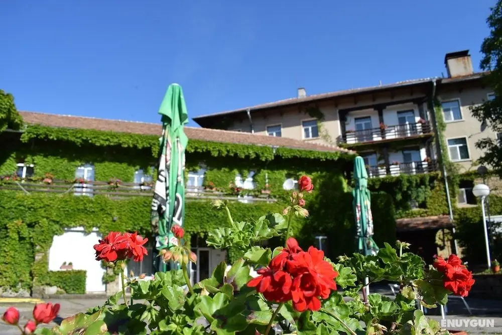 Balneo Hotel Lyulyatsi - Öne Çıkan Resim