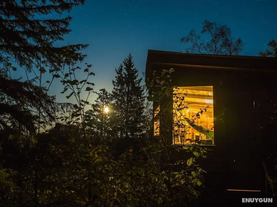 Bamff Ecotourism - Oda Manzaraları