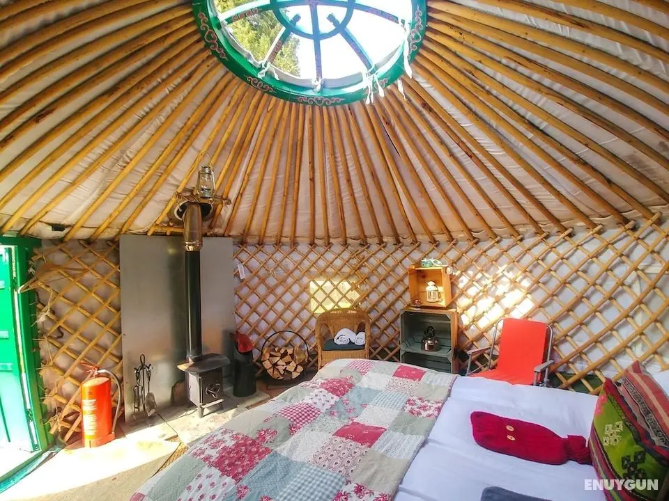 Bamff Ecotourism - Öne Çıkan Resim