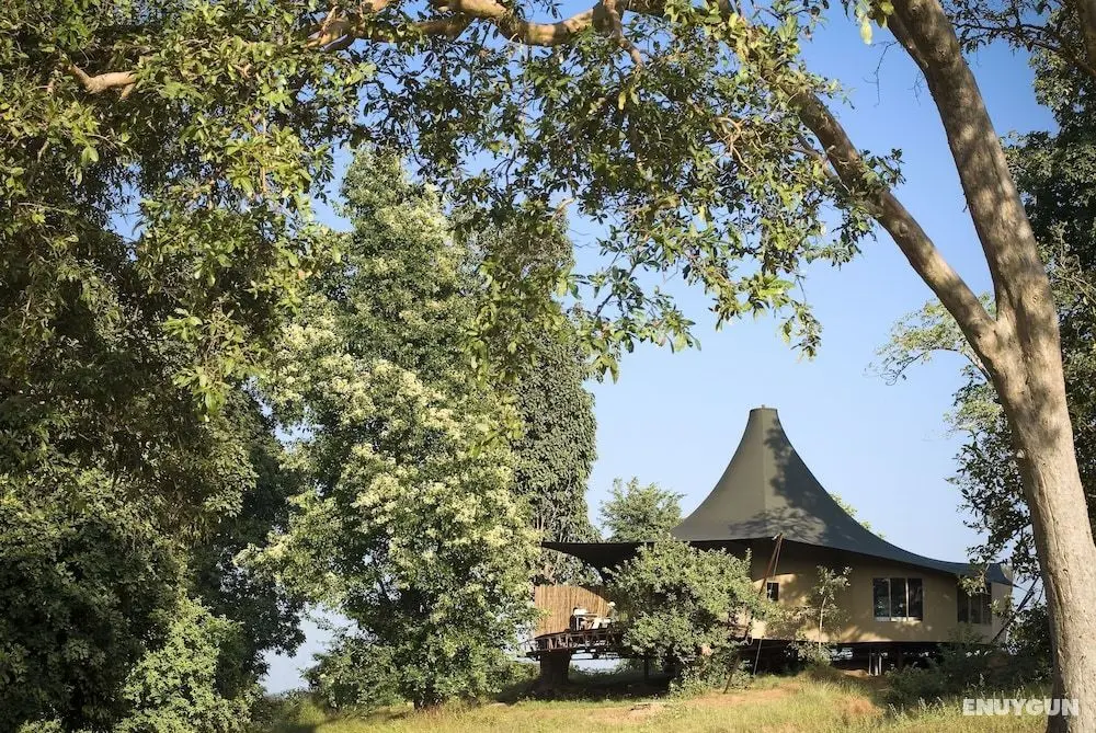 Banjaar Tola, Kanha National Park - Öne Çıkan Resim
