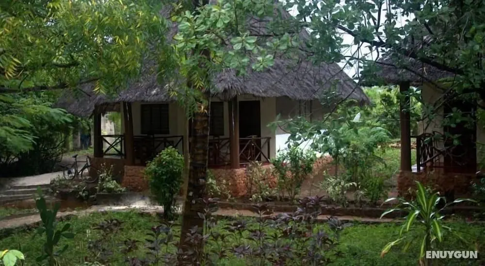 Baraka Aquarium Bungalows - Öne Çıkan Resim