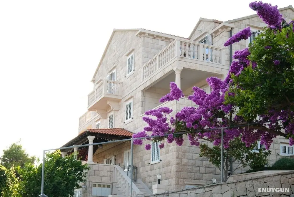 Barba Petra Dvori Apartments - Öne Çıkan Resim