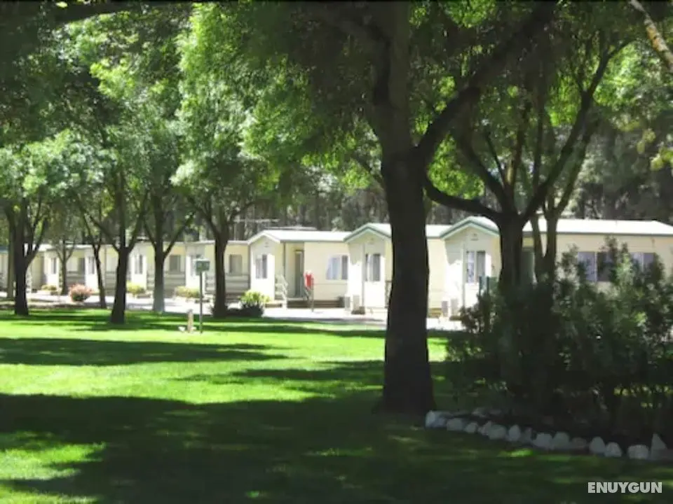 Barossa Tourist Park - Öne Çıkan Resim
