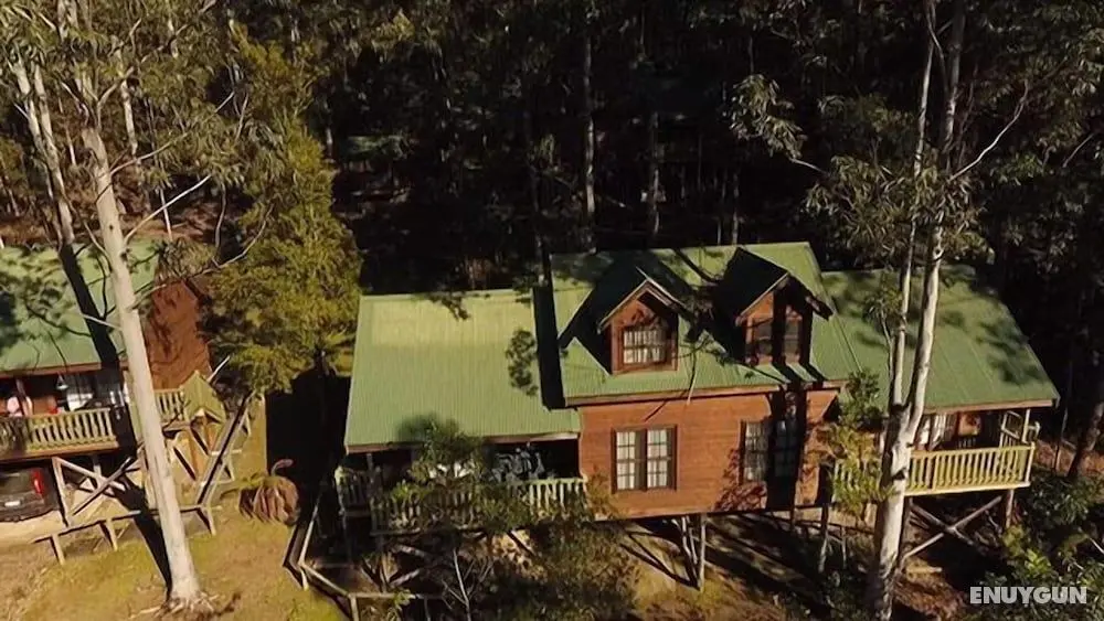 Barrington Wilderness Cedar Lodge Accommodation - Öne Çıkan Resim