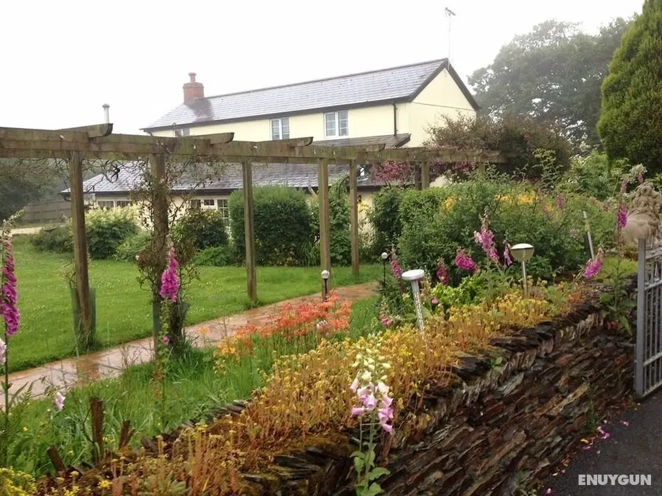 Barton Gate Farm Guesthouse - Öne Çıkan Resim