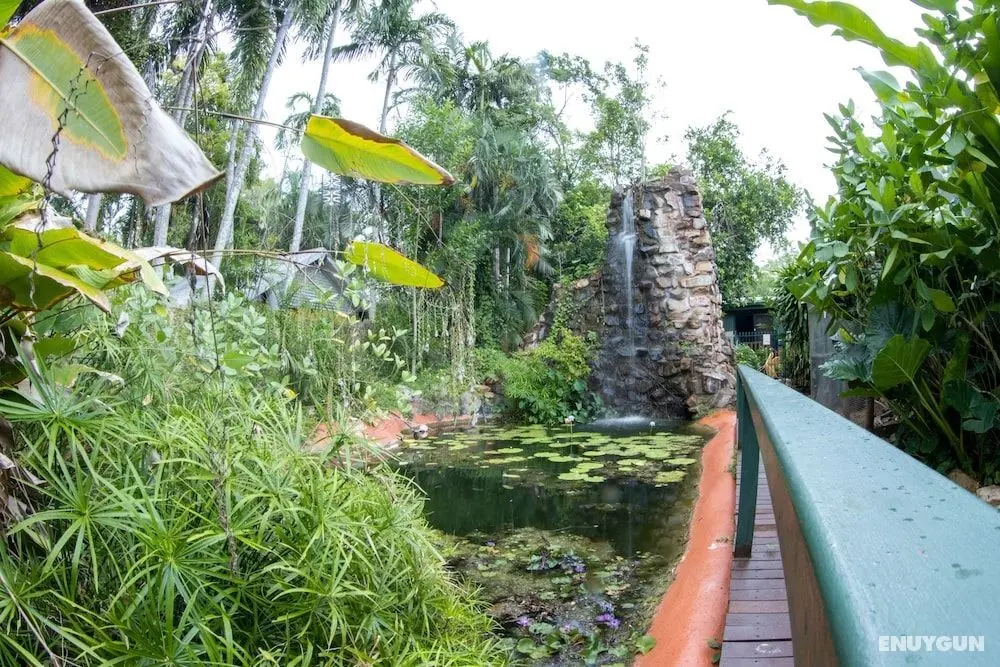 Batchelor Butterfly Farm - Dış Mekan