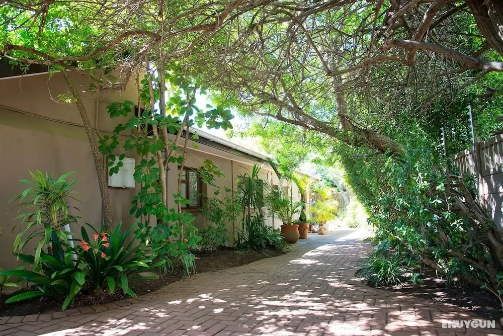 Bayside Guest House - Dış Mekan