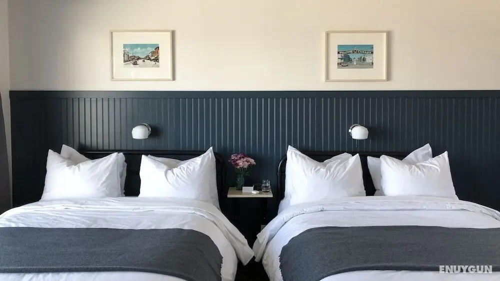 The Bayview Motel - Öne Çıkan Resim