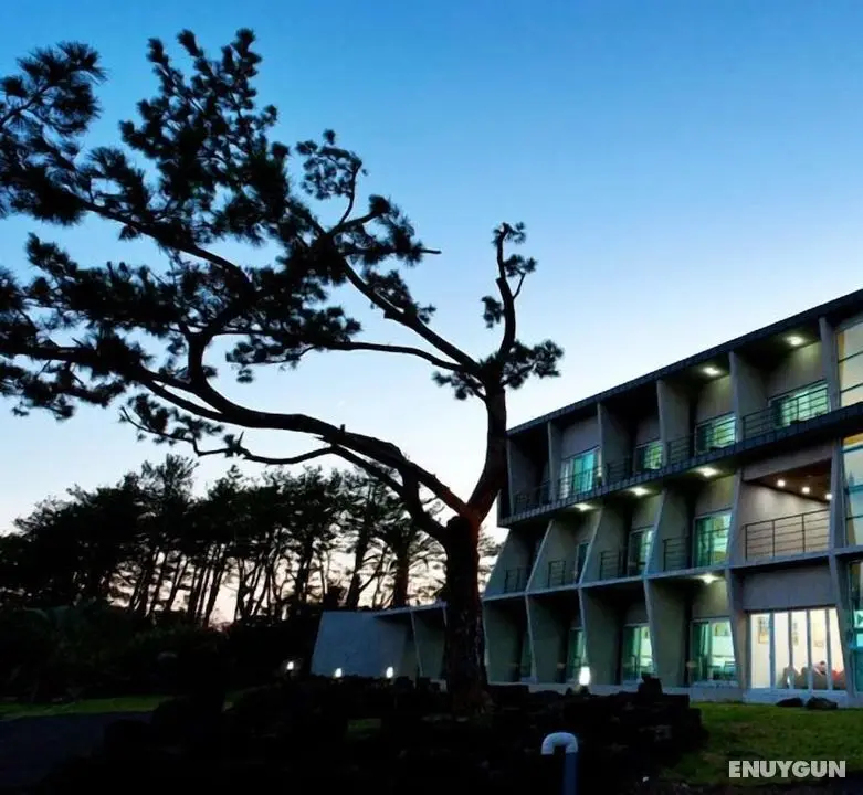 The BB's Jeju Resort - Öne Çıkan Resim