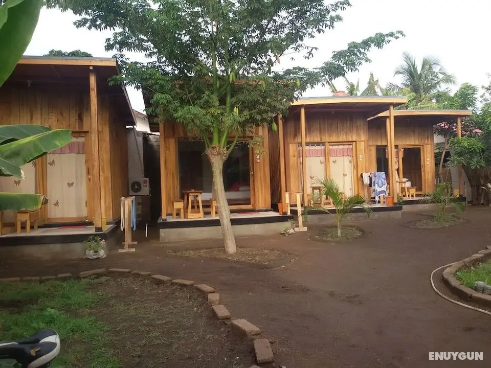Beach Box Bungalows - Dış Mekan