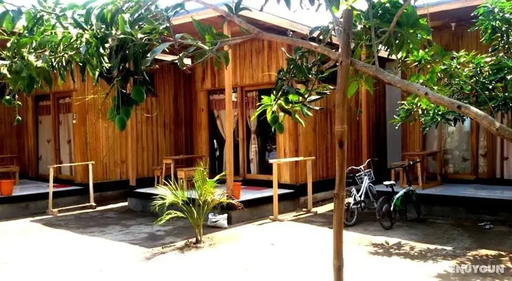 Beach Box Bungalows - Öne Çıkan Resim