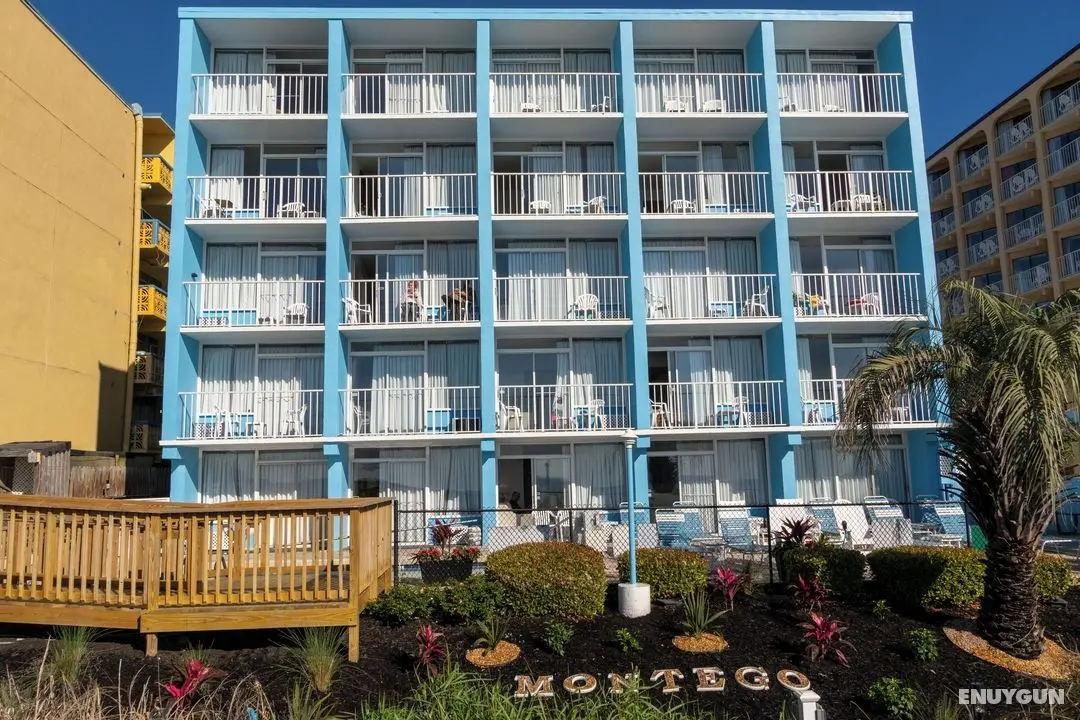 Beach Club at Montego Inn - Öne Çıkan Resim