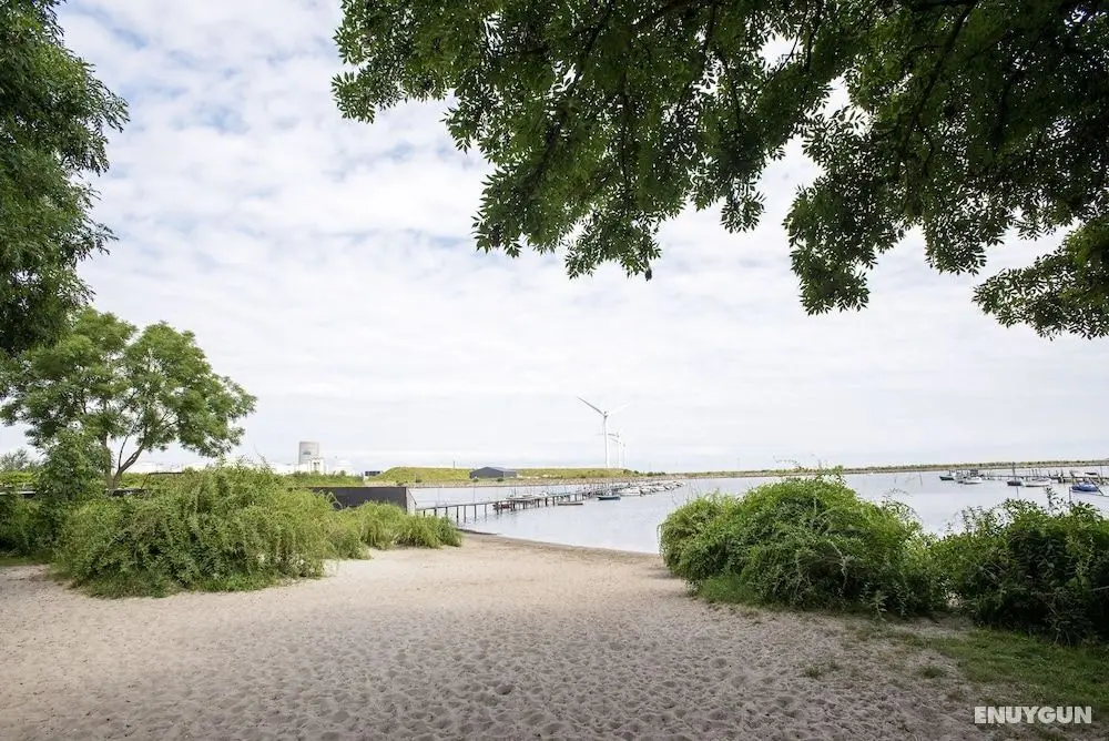 By the Beach Gardens - Into This Place - Plaj