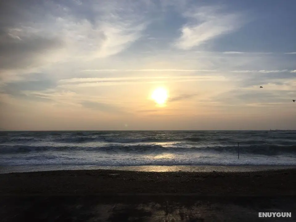The Beach House - Öne Çıkan Resim