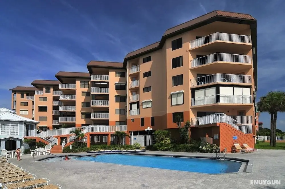 Beach Palms - Öne Çıkan Resim