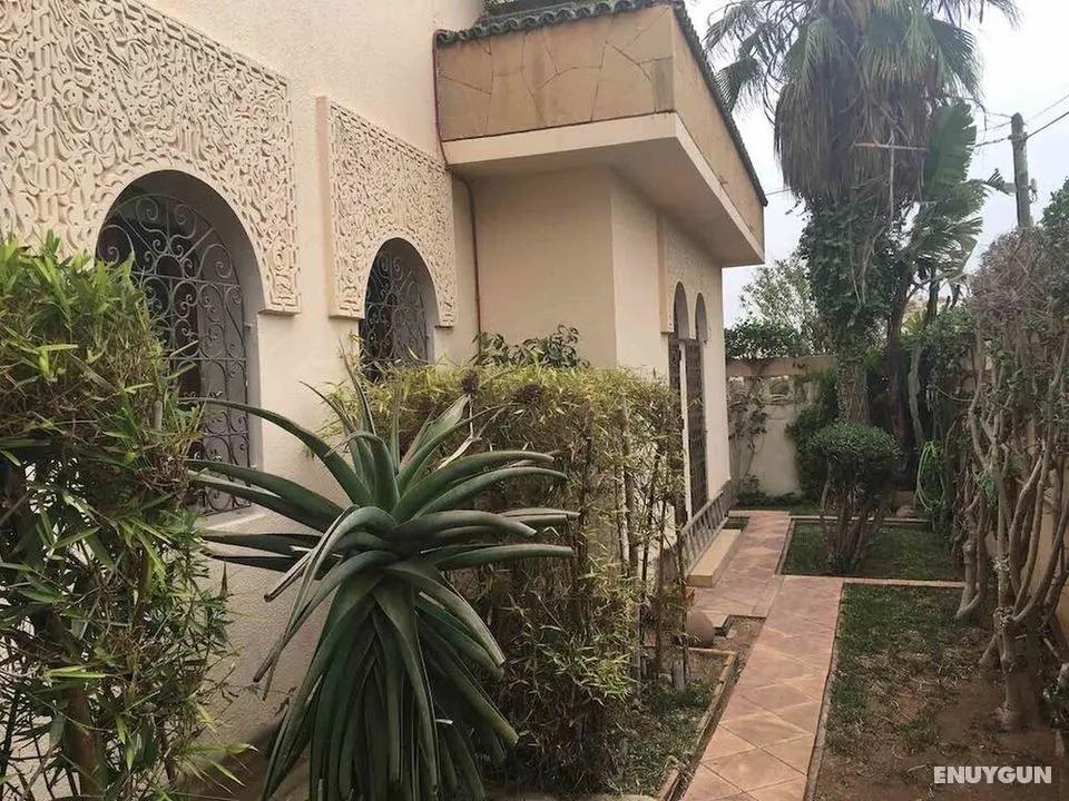 Beach Side Luxurious Villa Ref1098 - Dış Mekan
