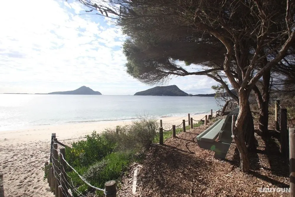 Beachfront Shoal Bay - Öne Çıkan Resim