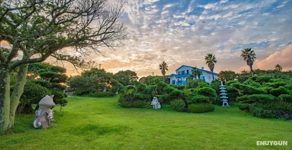 Beachside Whitehouse - Öne Çıkan Resim