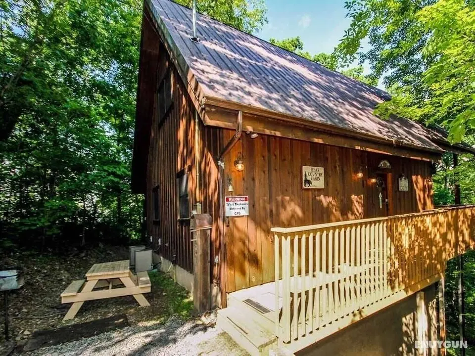 Bear Country Cabin by Jackson Mountain Homes - Öne Çıkan Resim