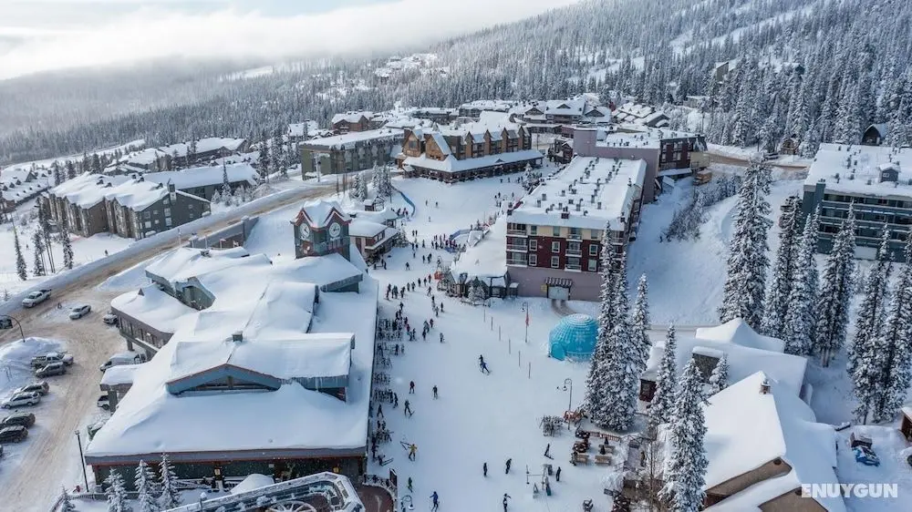 Bear's Paw Chalet - Amazing Location & Ski In/out - Dış Mekan