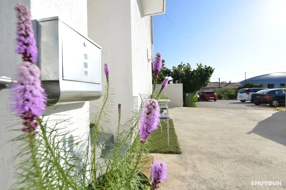 Beautiful 1-bed Apartment Kristijan Zadar - Dış Mekan