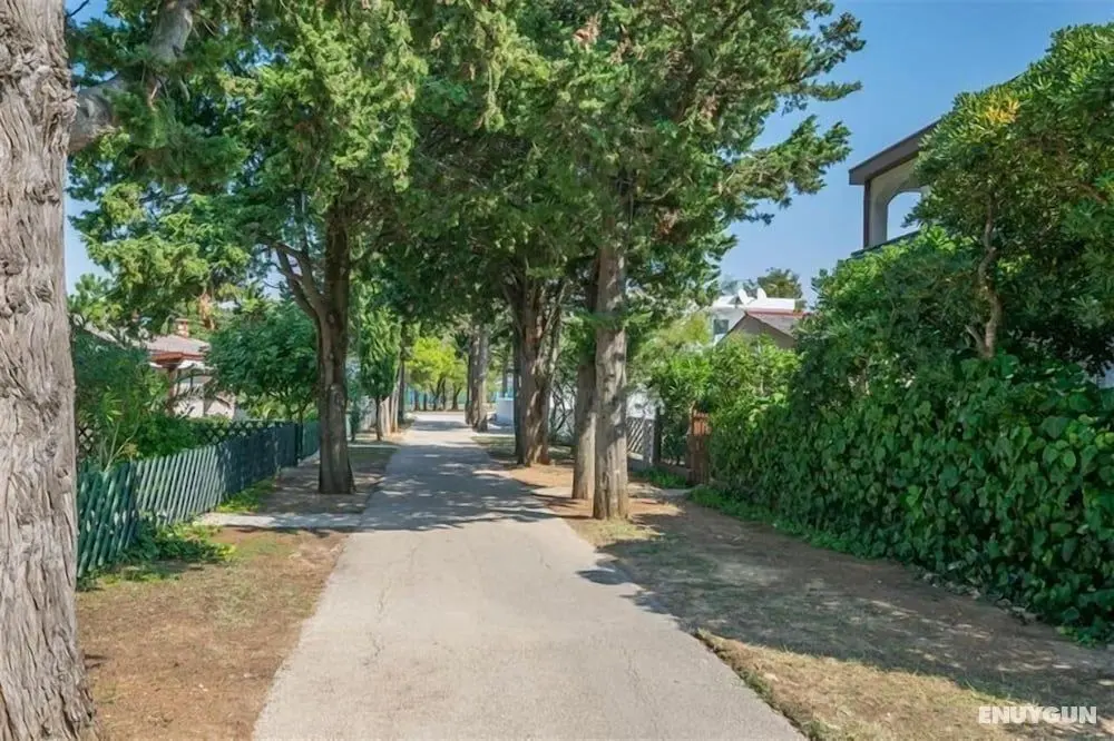 Beautiful apartment Brby near sandy beach - Oda Manzaraları