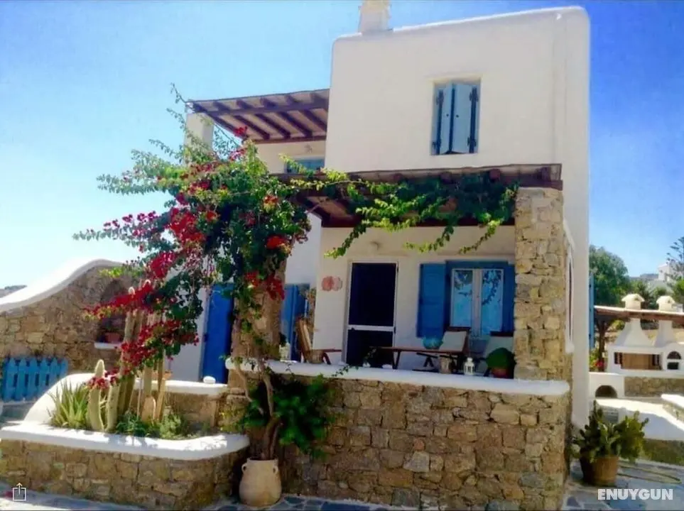 Beautiful Apt In Ano Mera Village - Dış Mekan