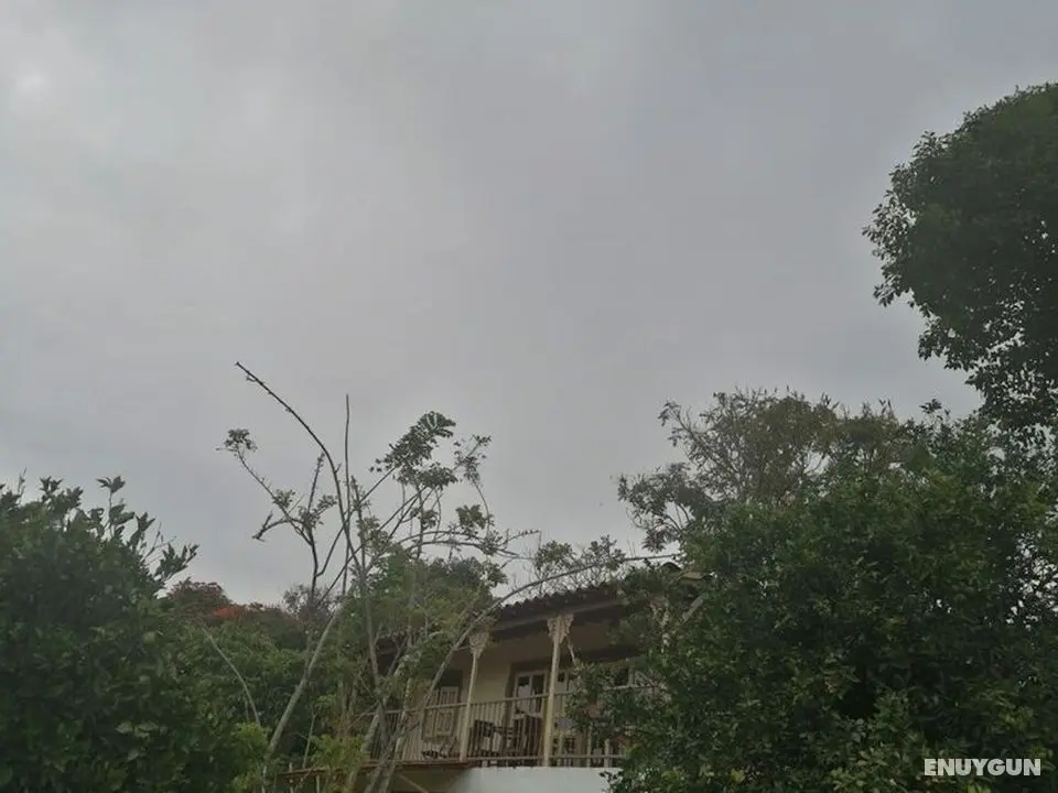 Beautiful Cabin in Quimbaya With Excelent View an Nature Neighborhood - Dış Mekan