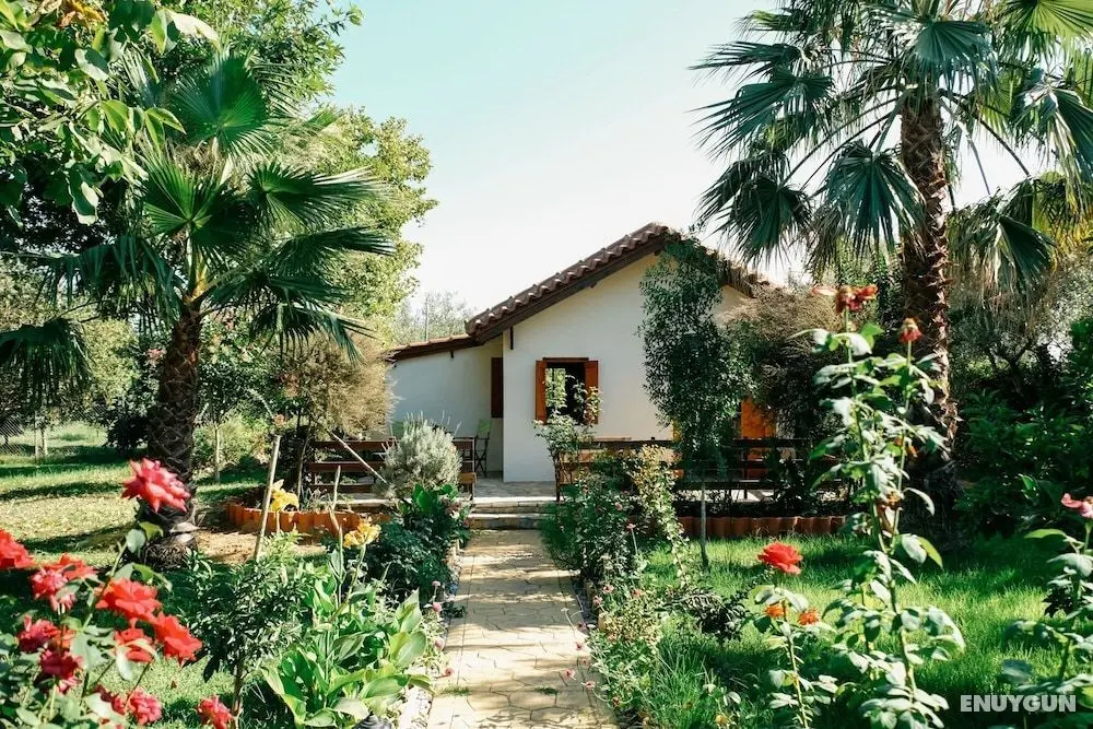 Beautiful Village Bungalow - Öne Çıkan Resim