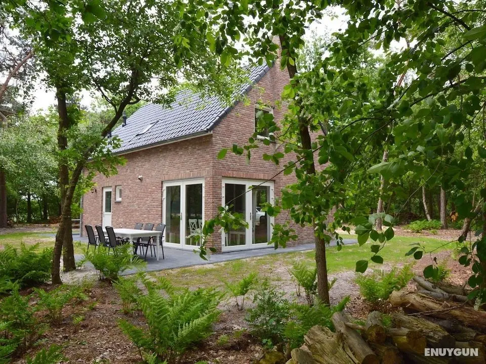 Beautiful House in Baarle-nassau on a Large Forest Plot - Öne Çıkan Resim