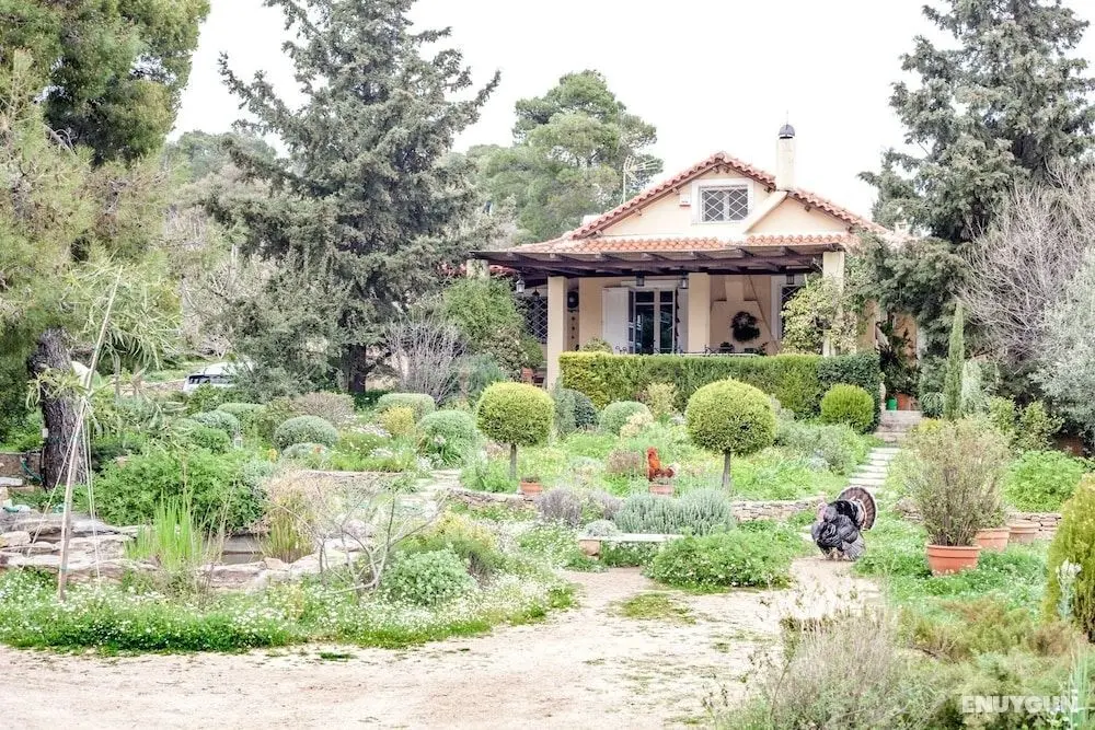 Beautiful mini eco farmhouse - Öne Çıkan Resim