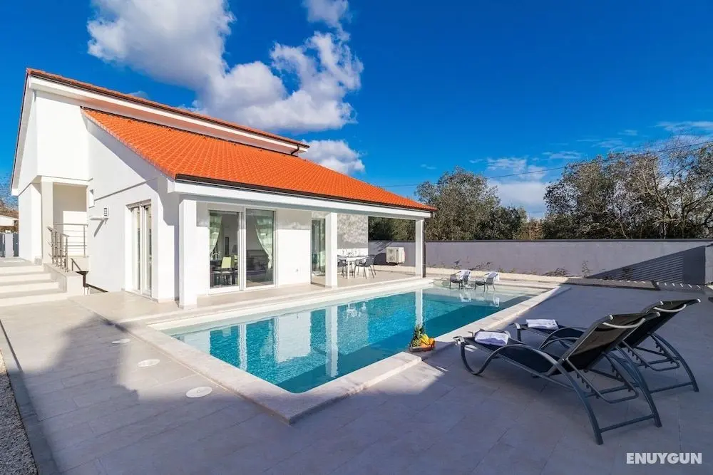 Beautiful Villa With Swimming-pool in Pula Croatia - Öne Çıkan Resim