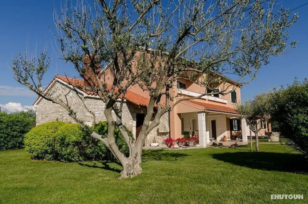 Beautiful three bedroom country house - Öne Çıkan Resim