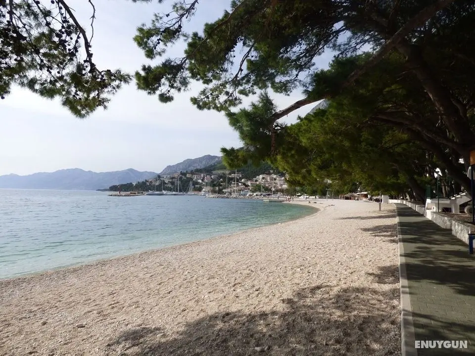 Beautiful View and Apartment for Family - Plaj