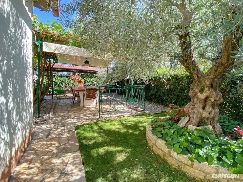 Beco A2 Plus 2 nr 2 in Novigrad - Öne Çıkan Resim