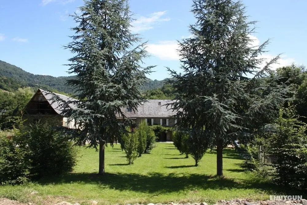 Bed in Bellongue - Dış Mekan