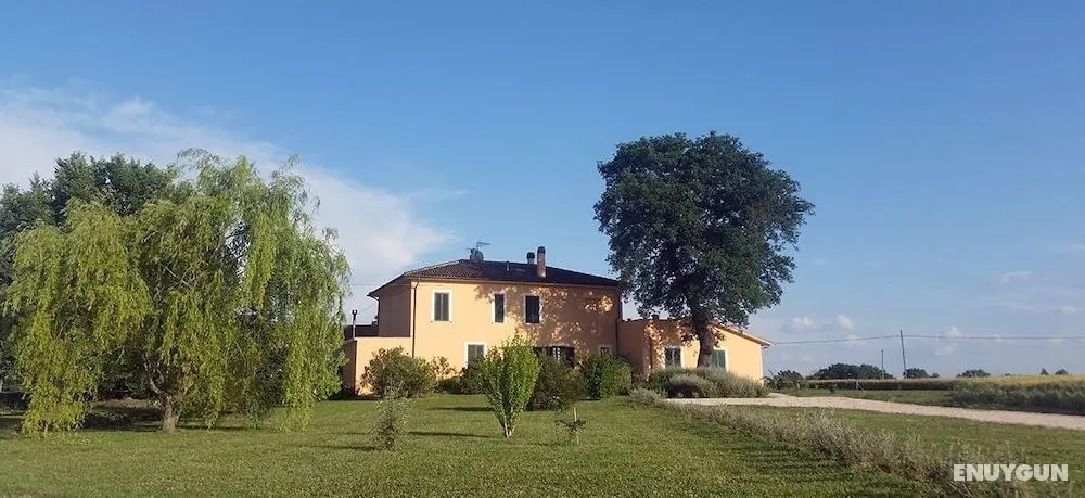 Bed and Breakfast Le Rose - Öne Çıkan Resim